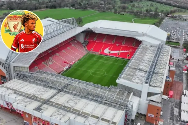 Liverpool winger Kone‑Doherty joins Molde FK, Norway 2026