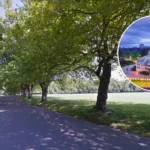 Liverpool's Green Spaces Sefton Park to Stanley Park Guide