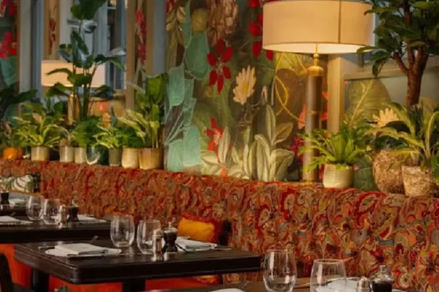 What is the Circus Liverpool Bottomless Brunch Experience