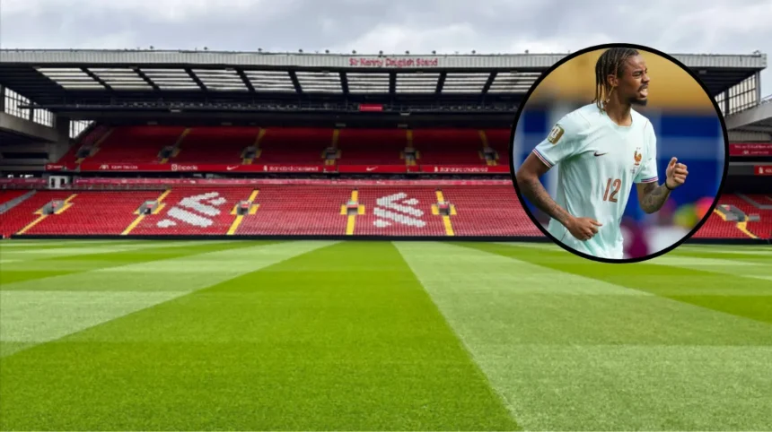 Liverpool and Arsenal Barcola Transfer Blow: PSG Stance Paris 2026 1 Liverpool and Arsenal Barcola Transfer Blow PSG Stance Paris 2026