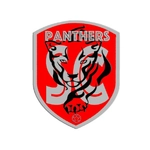 South Indian Community UK announces London Community Fest 2026 — One Community. Many Cultures. Shared Celebration 6 PANTHERS