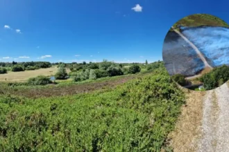 Arson Investigation Begins After Major Heathland Fire
