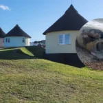 Dead Minke Whale at Hemsby Complex Removal Underway in 2026