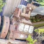 Historic Broadland Nurseries Garden Centre to Close After 114 Years