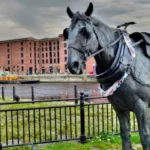 What Are the Best Seasonal Things to Do in Liverpool Throughout the Entire Year