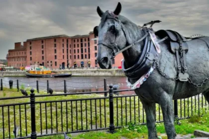 What Are the Best Seasonal Things to Do in Liverpool Throughout the Entire Year