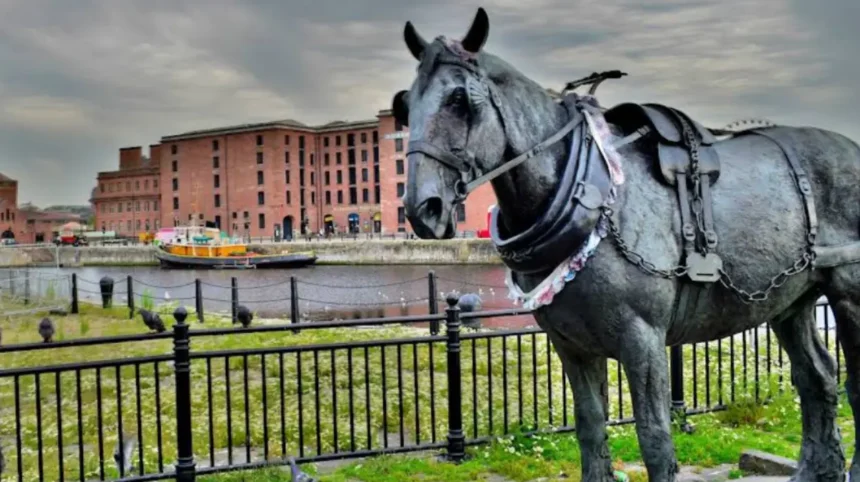 What Are the Best Seasonal Things to Do in Liverpool Throughout the Entire Year? 1 What Are the Best Seasonal Things to Do in Liverpool Throughout the Entire Year
