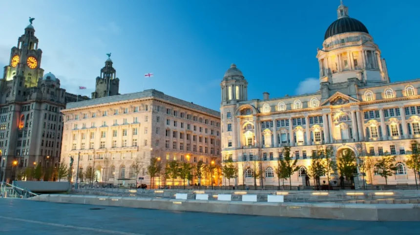 What Are the Most Common Local Government Services Used by Liverpool Residents