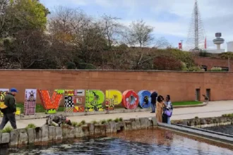 What Are the Public Career Development Resources Available Across Liverpool