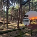Firefighters Battle Huge Blaze at Formby Dunes