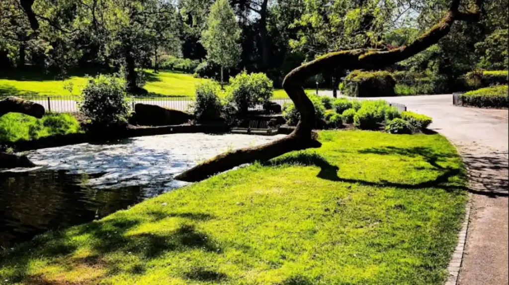 What Are the Best Things to Do in Aigburth Liverpool? 2 Best Things to Do in Aigburth Liverpool