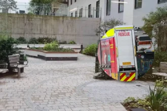 Villawood and Greenwell Point fires leave two dead in NSW