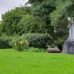 Wallasey War Memorial Restored Following Concerns Over Its Condition