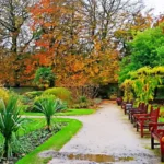 What Are the Best Things to Do in Allerton