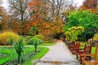 What Are the Best Things to Do in Allerton