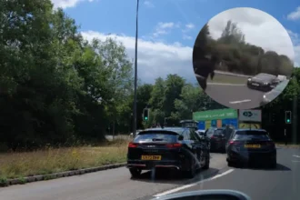 Duran Arnet Jailed After Dangerous Police Chase