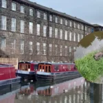 Otter Dies in Leeds and Liverpool Canal at Silsden