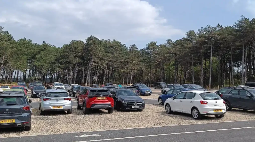 What are the best times, trails, and tips to see red squirrels at Formby?