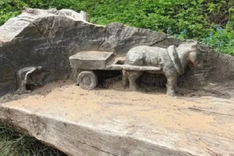 What Are the Hidden Spots in Formby Locals Recommend