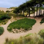 What makes a day trip from Liverpool to Formby worthwhile
