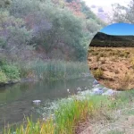 Anfield Energy Nears Shootaring Canyon Mill Renewal in Utah 2026