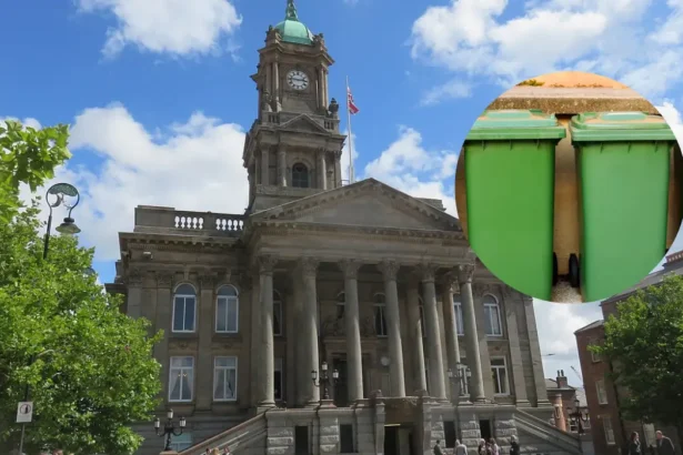 Wirral Green Bin Plan Faces Public Consultation 2026